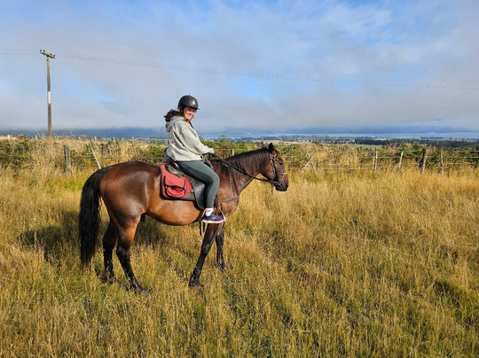 Westray Adventures - Horse Treks & Quad Tours-蒂阿瑙必去景点