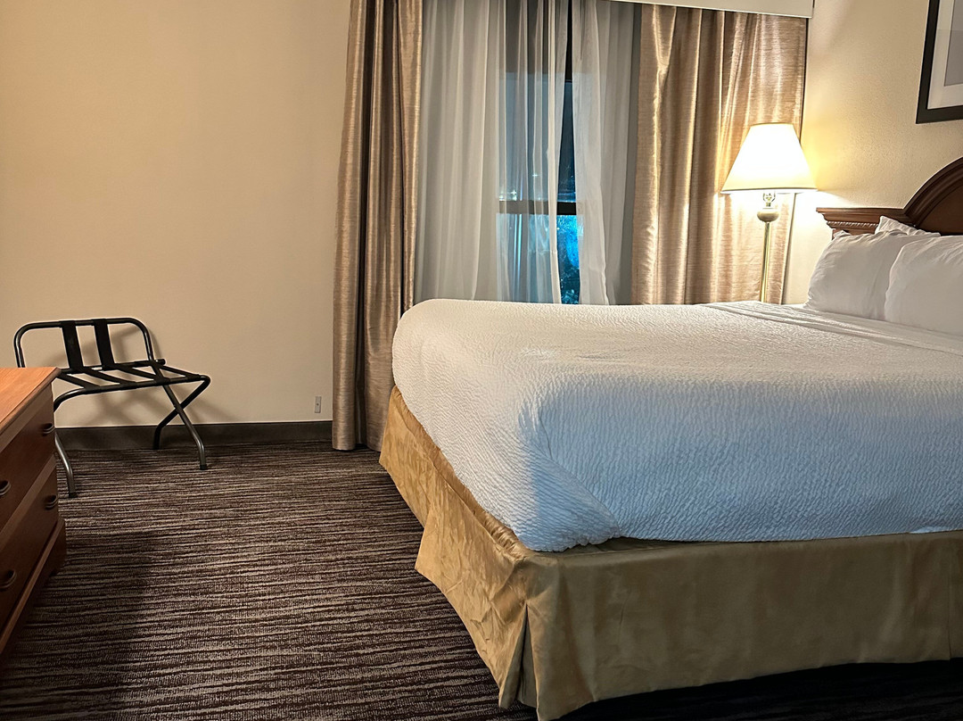 Wingate By Wyndham Charlotte Airport I-85/I-485主图