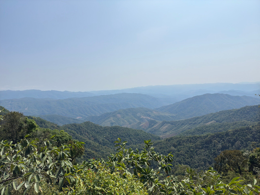 Doi Phu Kha Viewpoint景点图片