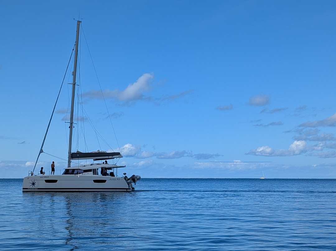 Sailing Virgins景点图片