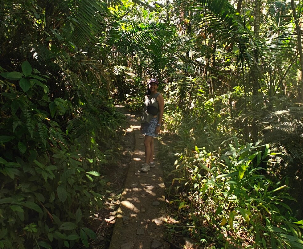 Mt. Britton Lookout Tower-Rio Grande必去景点