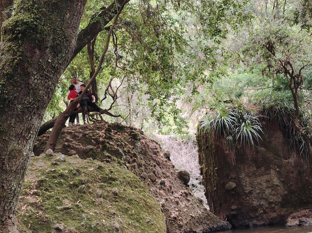 Salto del Rehuen-Mulchen必去景点