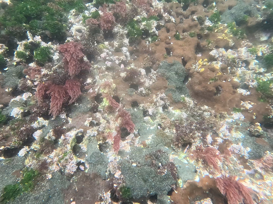 Tagus Cove-伊莎贝拉岛必去景点