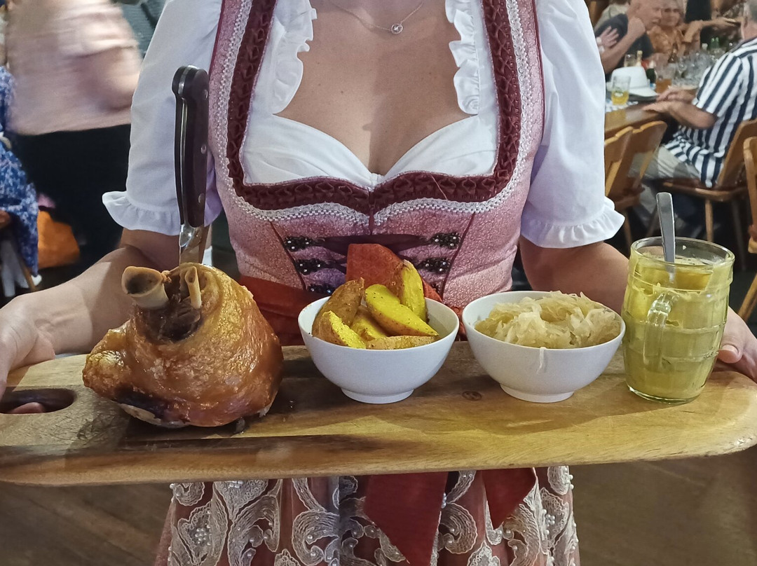 The Rhein-Donau Club Inc.