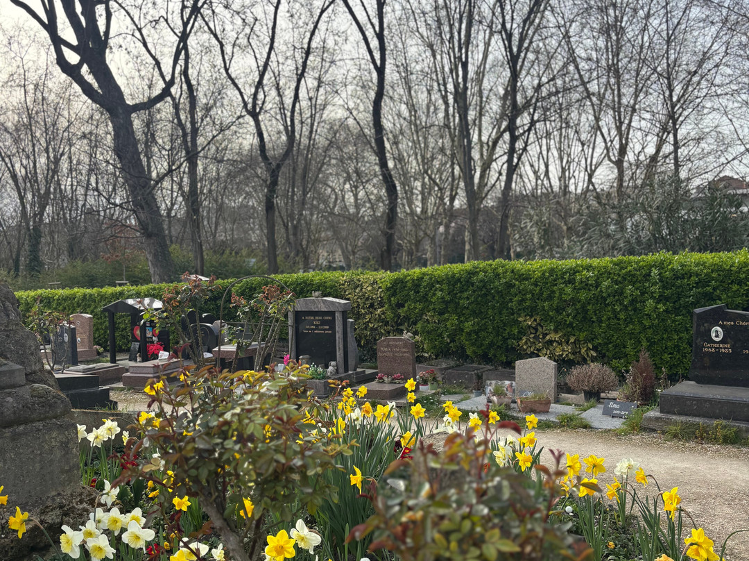 宠物墓地景点图片