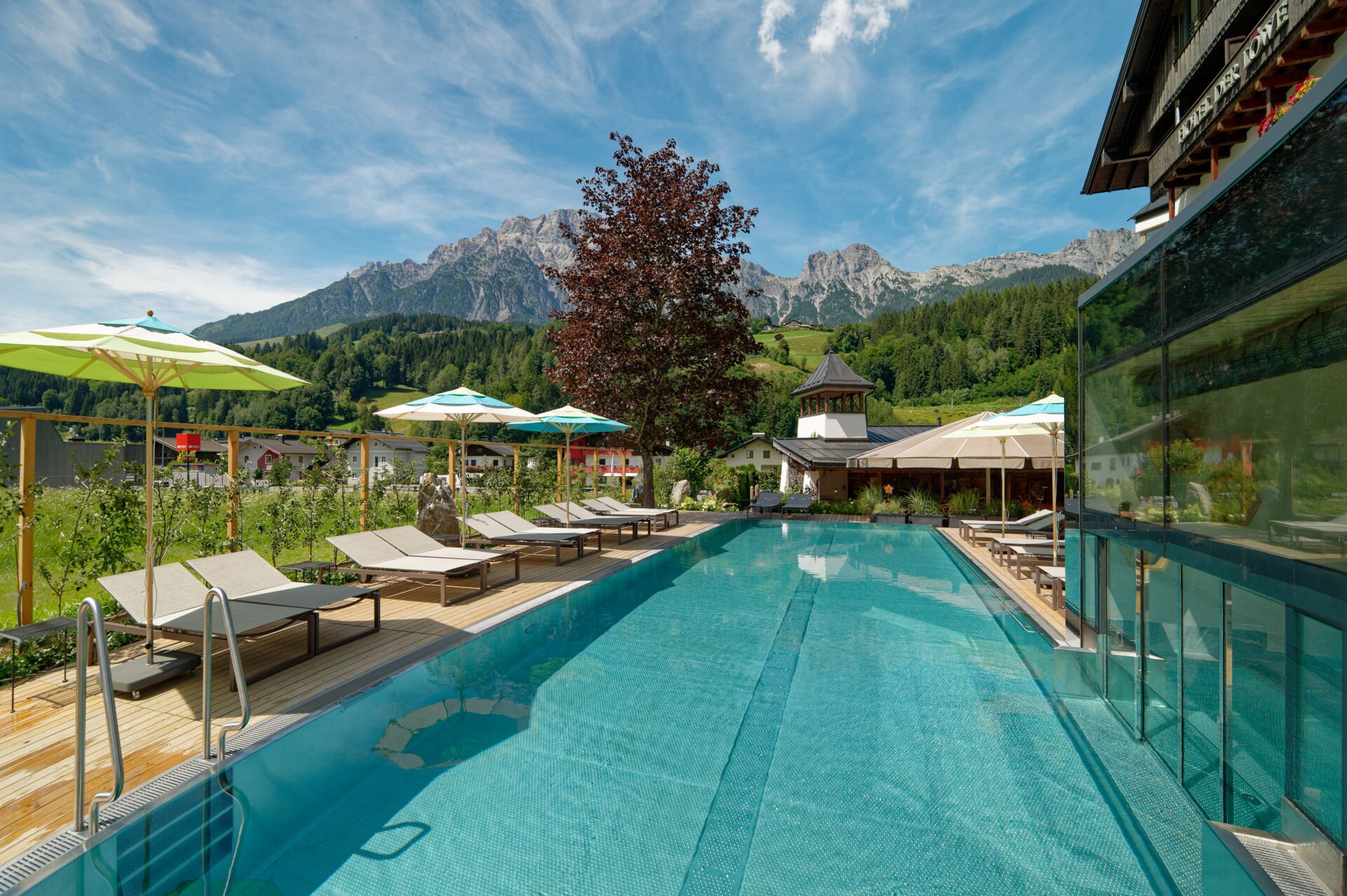 Hotel Der Lowe Lebe Frei-泳池