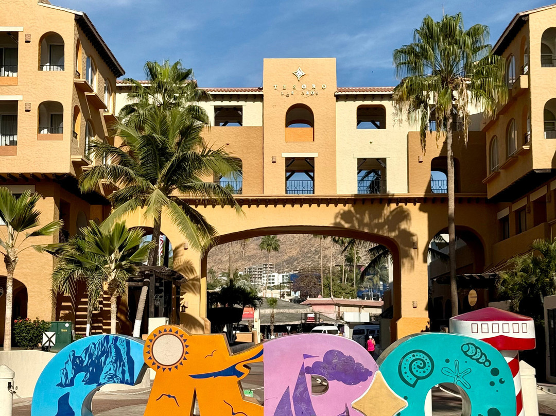 Cabo Deep Blue-卡波圣卢卡斯必去景点