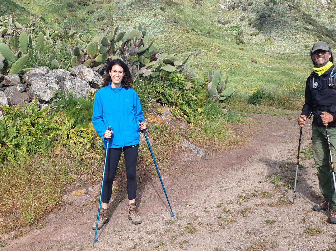 Sergio Walking Tours-特纳里夫必去景点