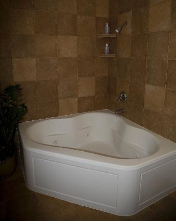 Father Wind Bed & Breakfast主图