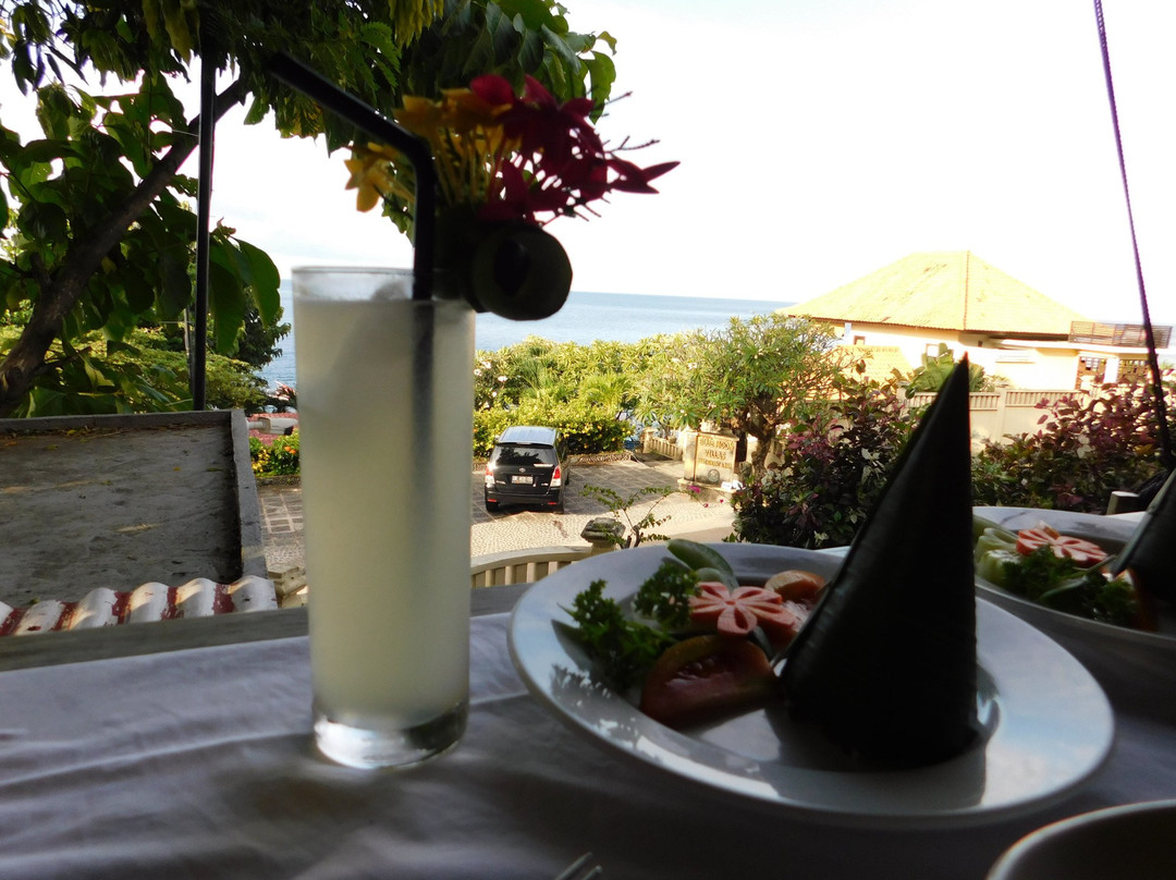 蓝月亮别墅主图