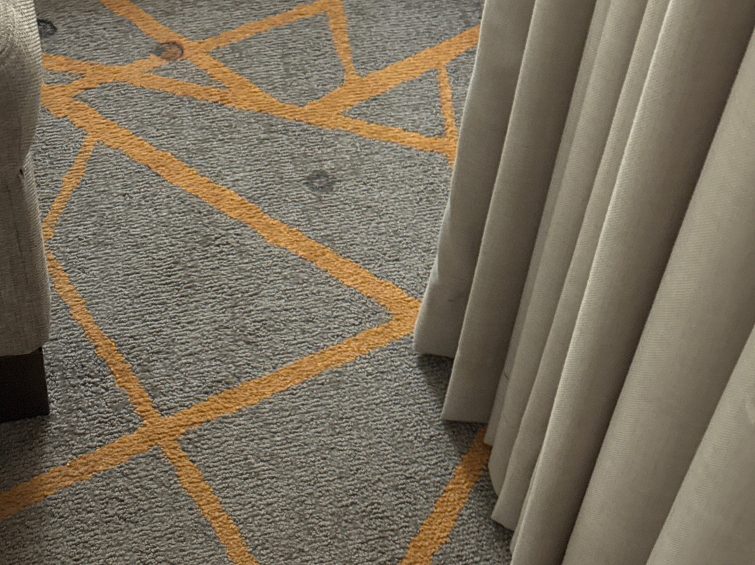 辛辛那提东北（布鲁阿什）希尔顿合博套房酒店主图