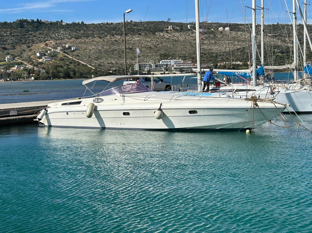 Artemis Boat Trips景点图片