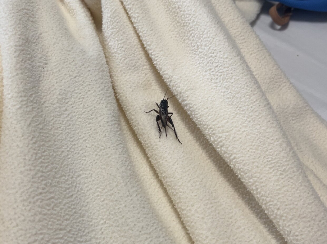 Tropixx Motel & Restaurant主图