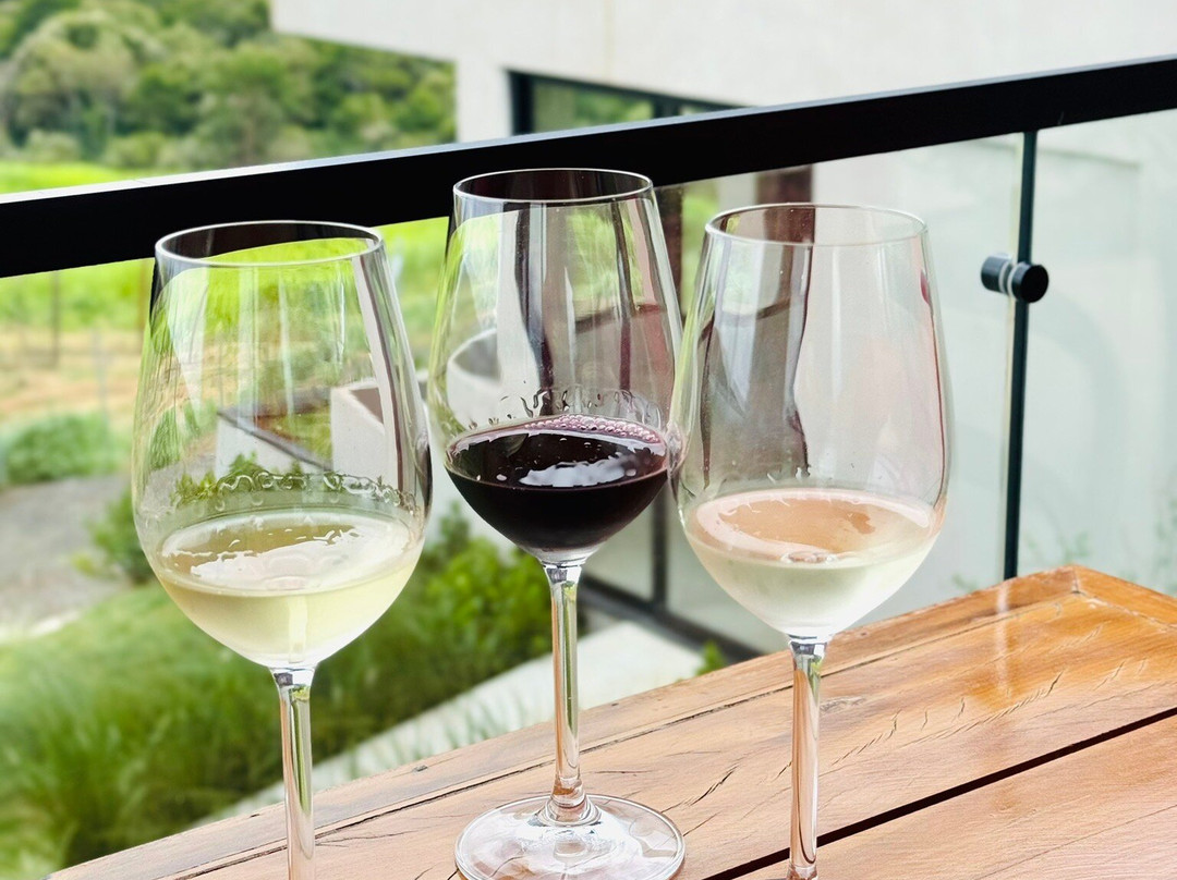 Vinícola Dejota-Pardinho必去景点