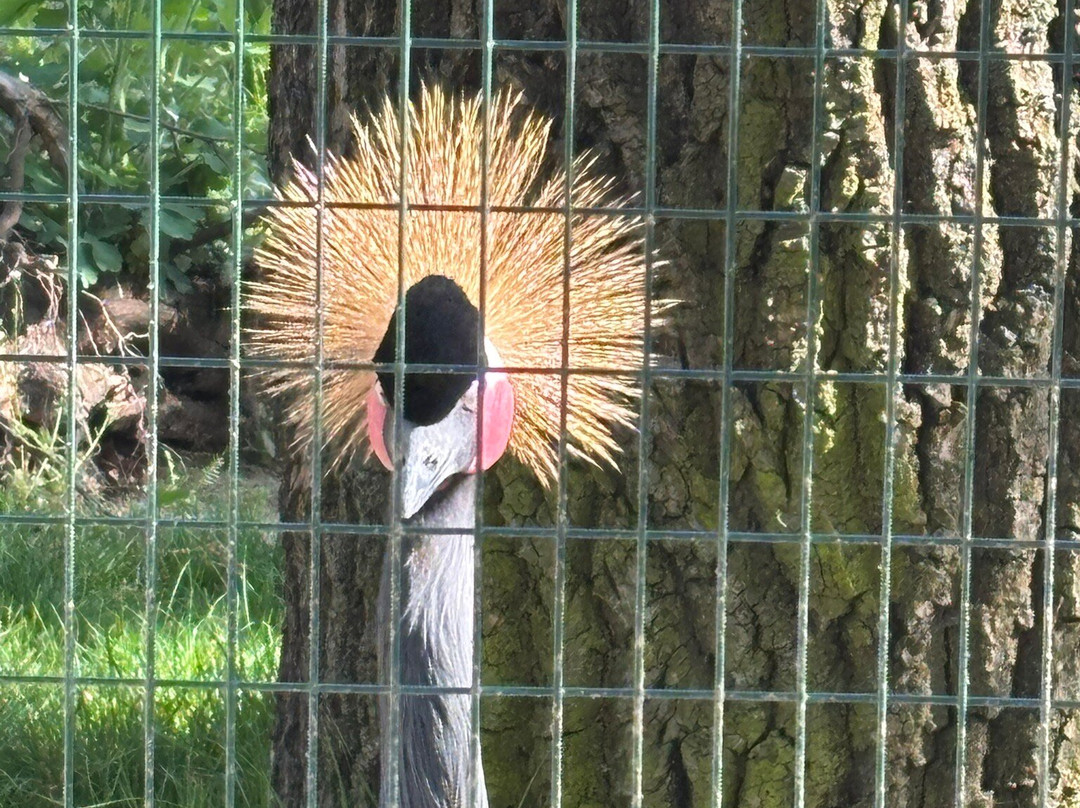 Zoologischer Garten Magdeburg-马格德堡必去景点