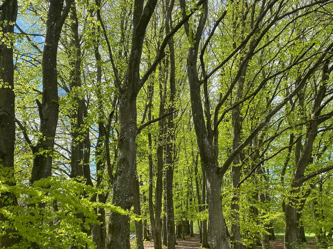Naturstien Horsens Silkeborg景点图片