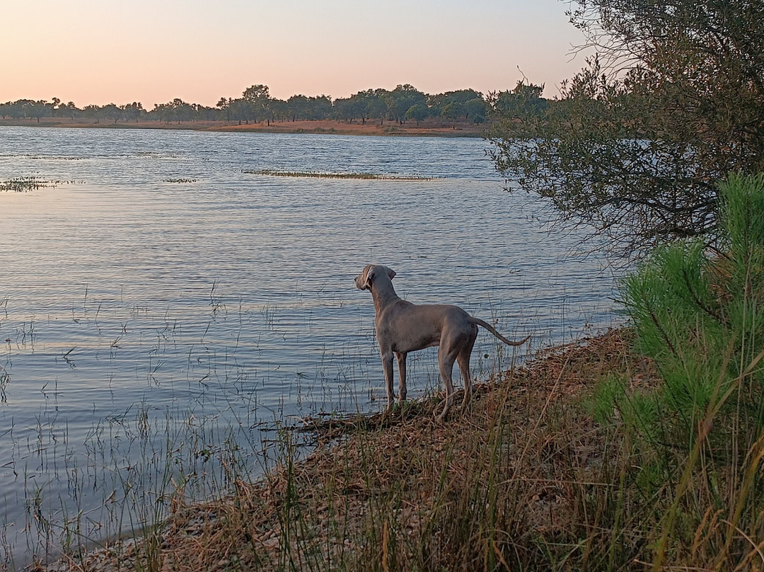Barragem de Montargil景点图片