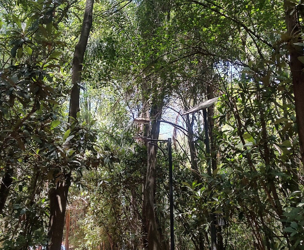 Zoológico de Chapultepec-墨西哥城必去景点