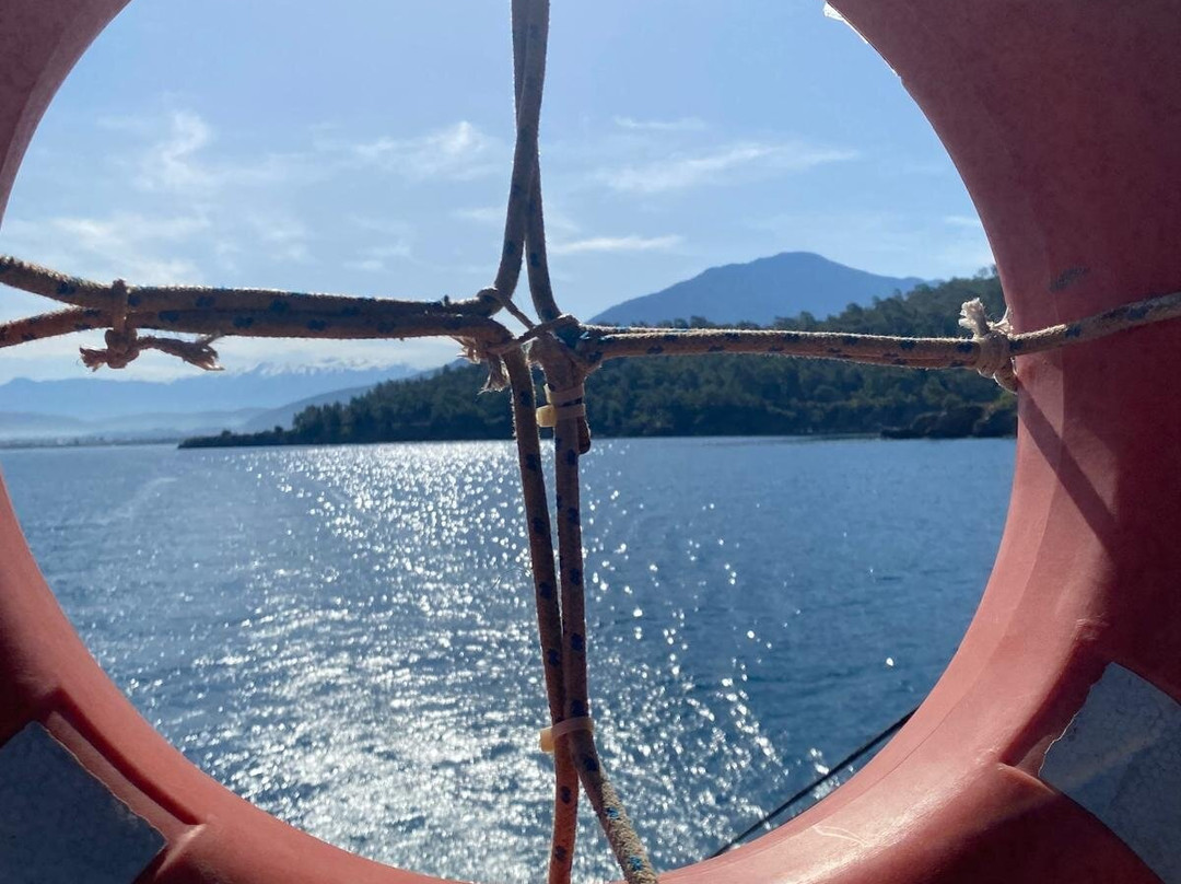 Jerry's Daily Boat Trip景点图片