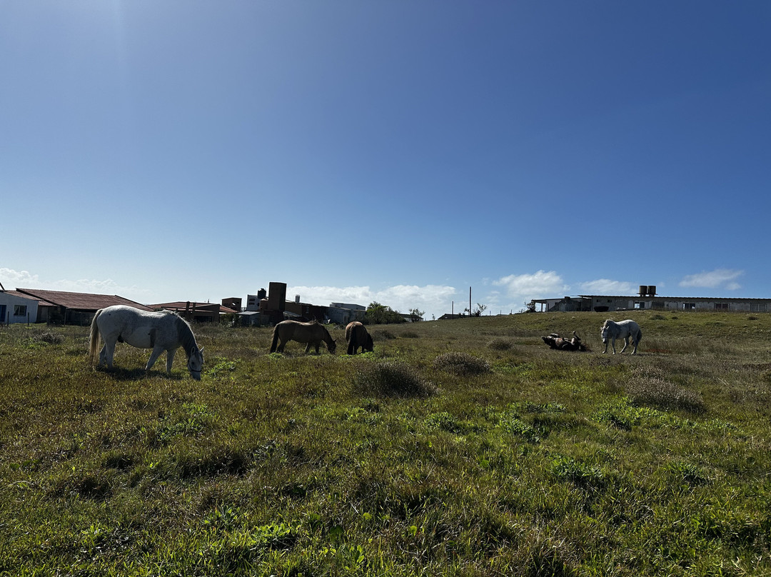 Cabalgatas Valiceras-Valizas必去景点