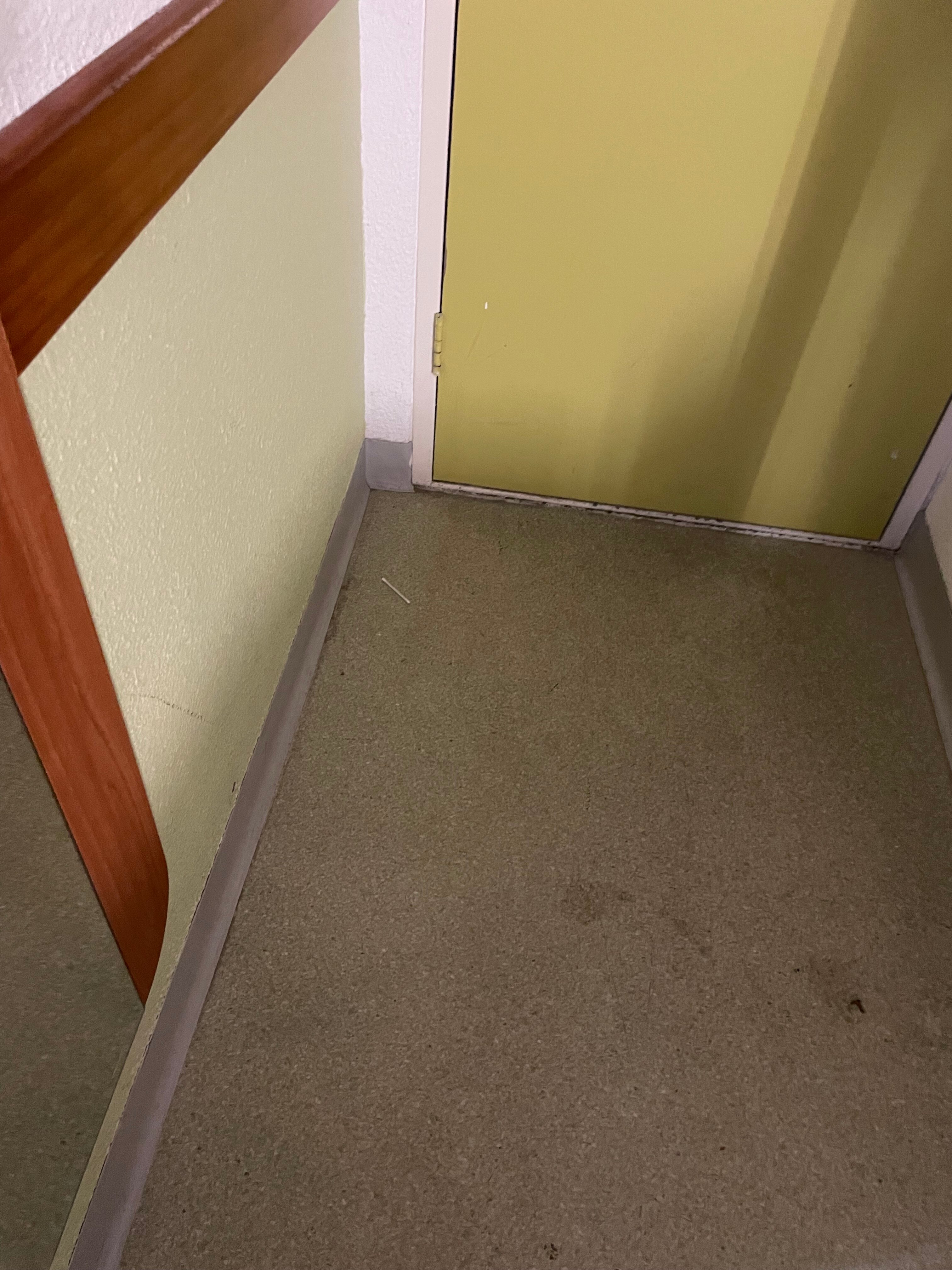 圣彼得一级方程式汽车旅馆-官方