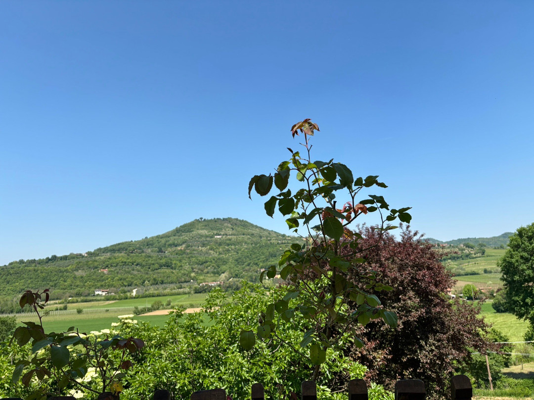 Cantina Maeli Colli Euganei-Baone必去景点