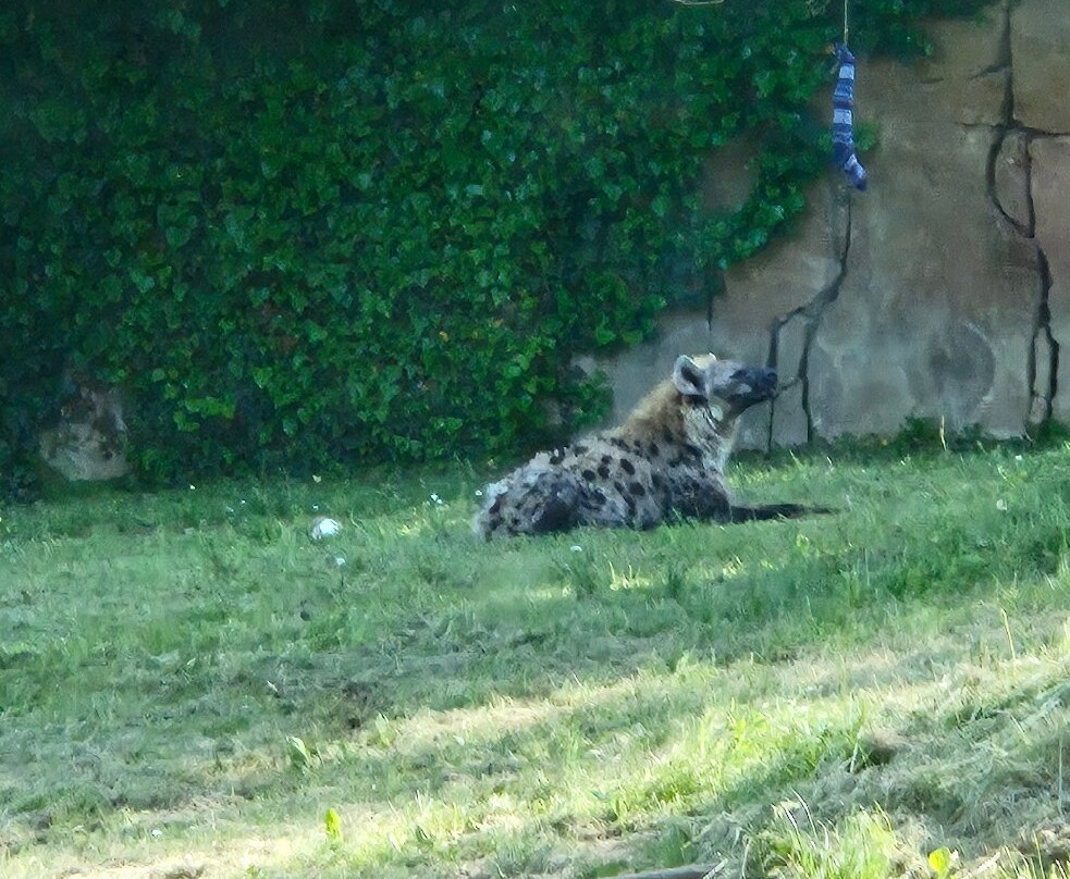 Parco Natura Viva景点图片