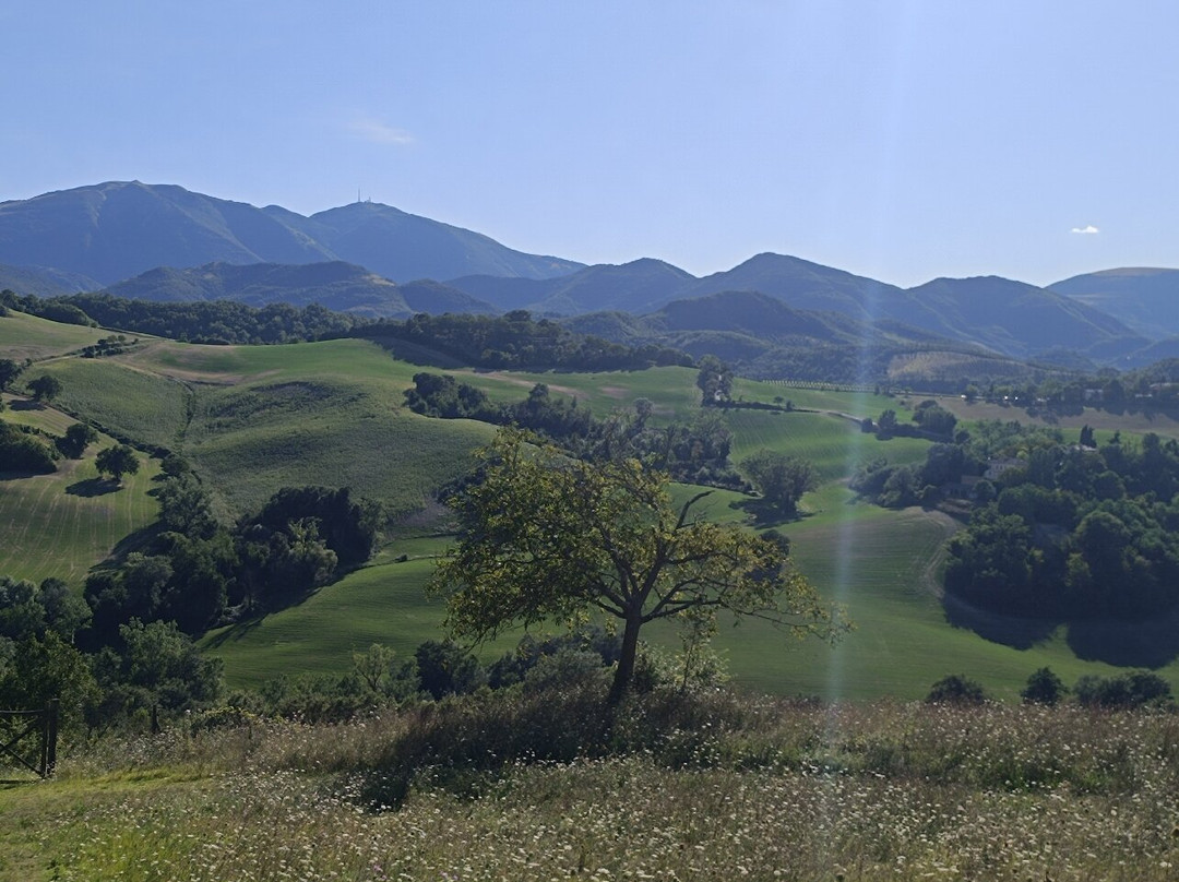 Agriturismo Ca Battista主图