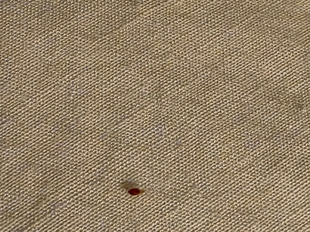 Best Western Rama Inn主图