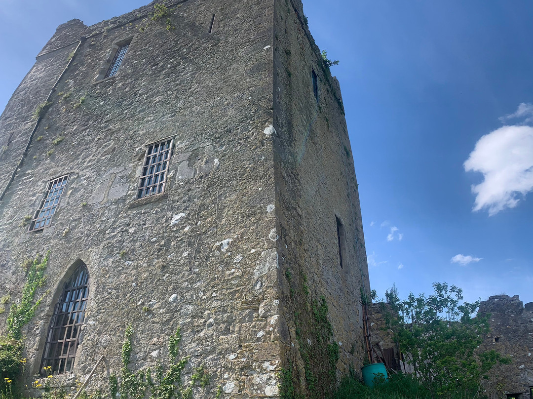 Clonony Castle-Shannonbridge必去景点