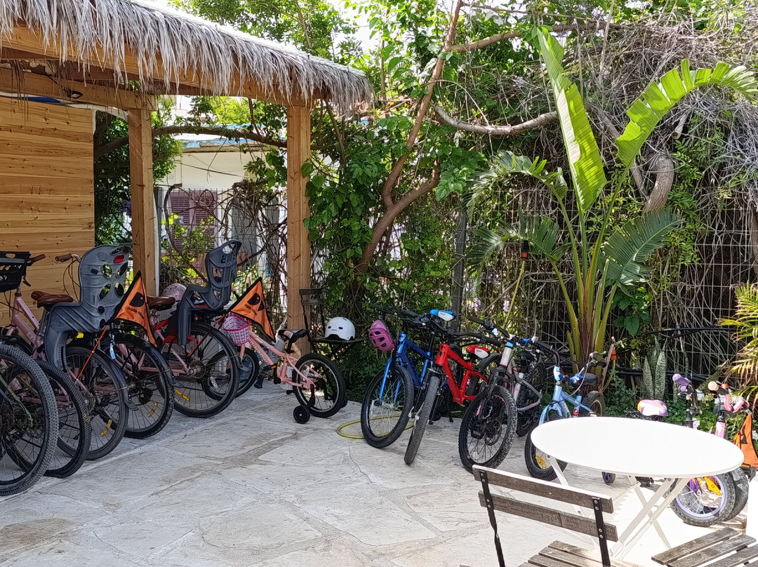 Dolphin Village主图