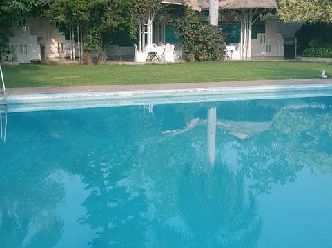 The Meadows Resort and Spa主图