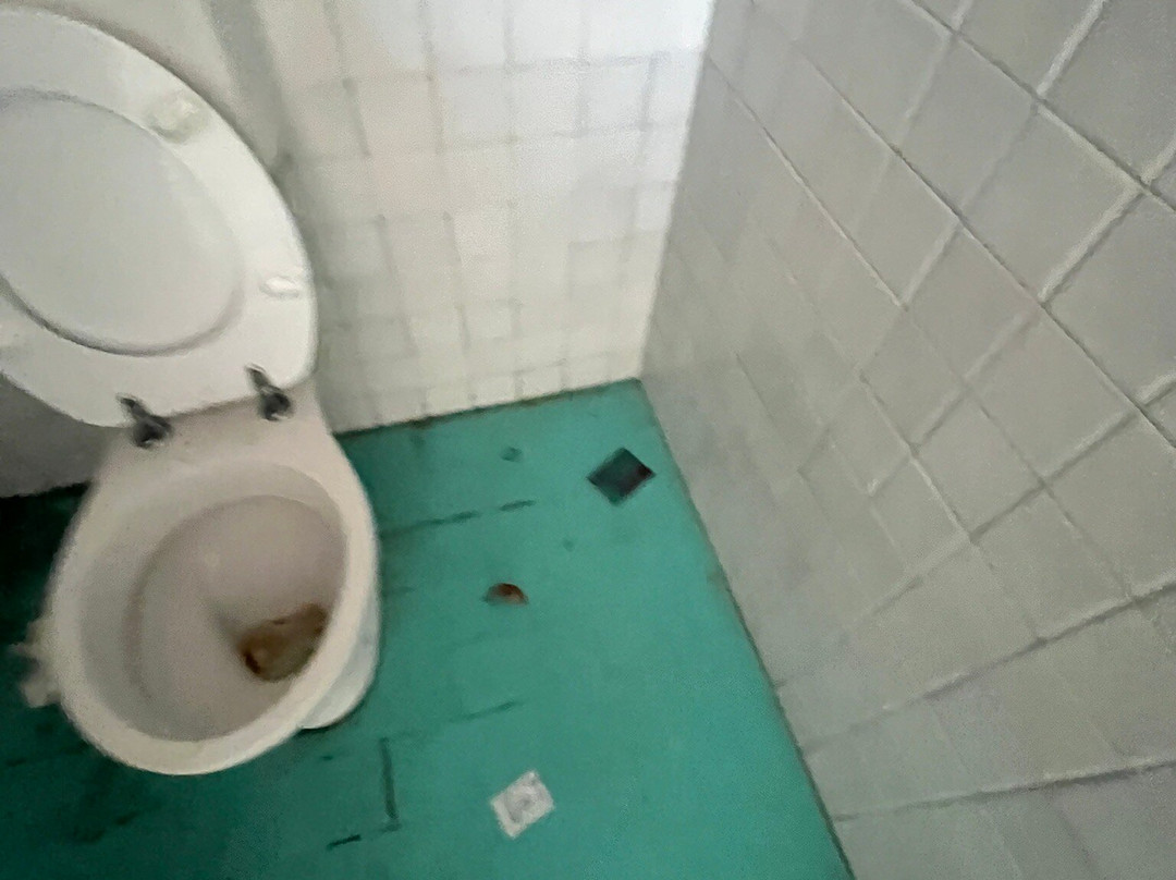 Parco Junior-利尼亚诺萨比亚多罗必去景点