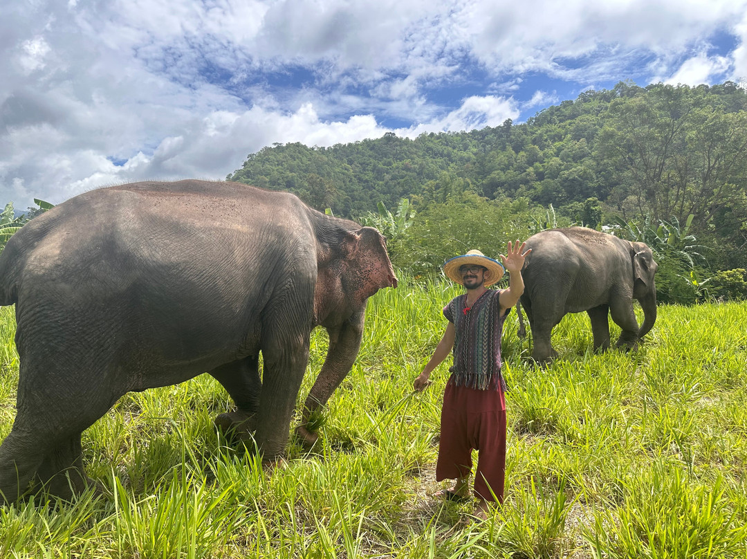 Doi Lom Elephant Rescue Sanctuary景点图片