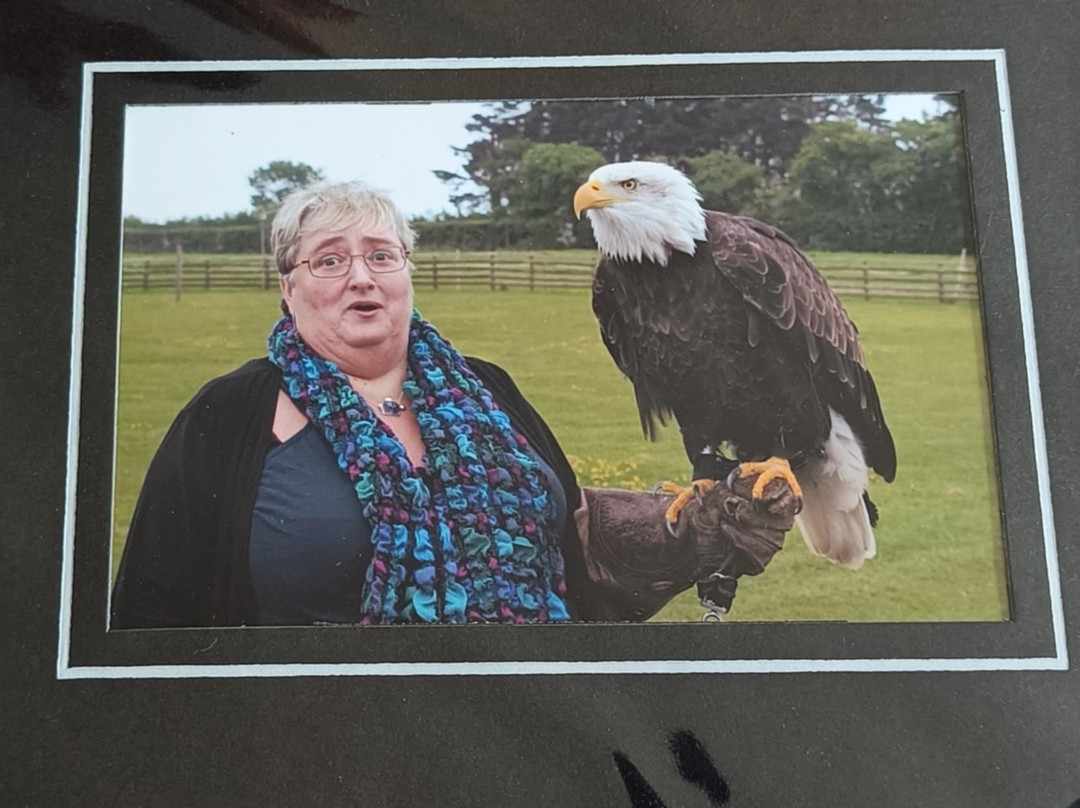 Hawkridge Bird Of Prey Centre-埃克斯茅斯必去景点