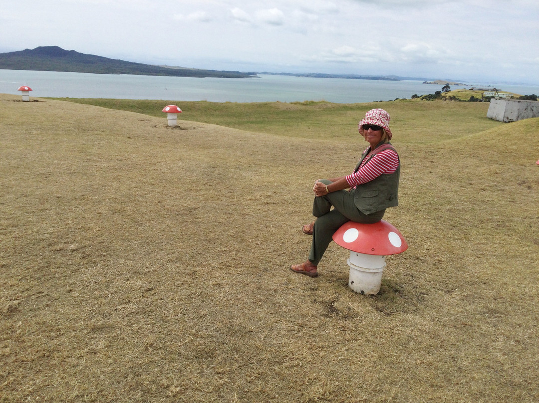 Mount Victoria Reserve-德文波特必去景点