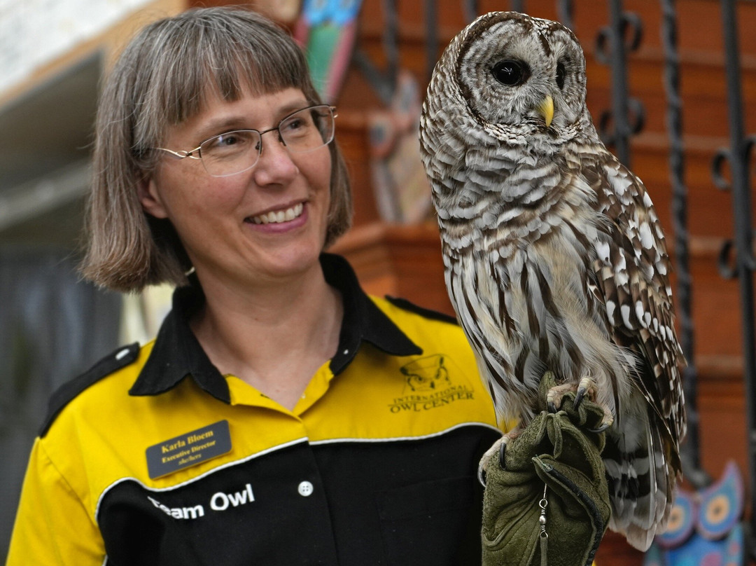 International Owl Center景点图片