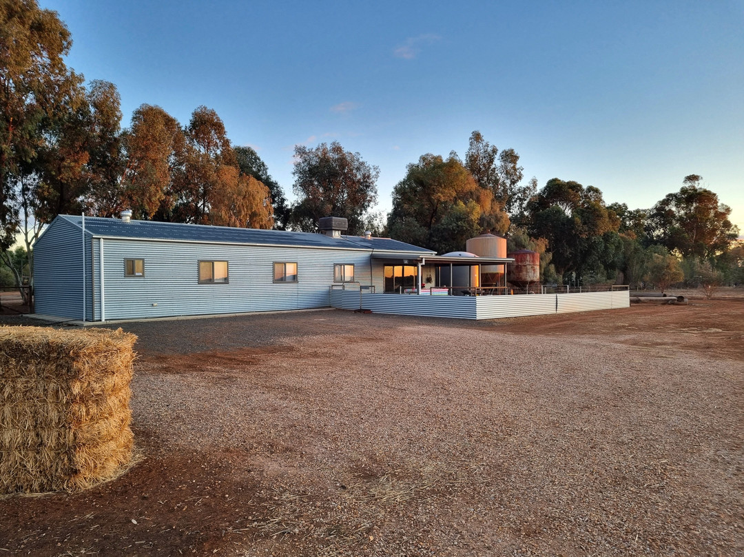 Corynnia Station主图