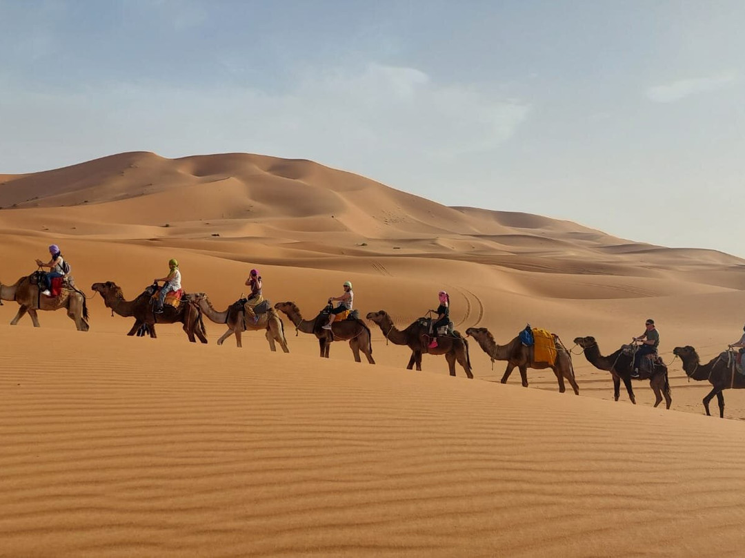 Wild Desert of Morocco景点图片