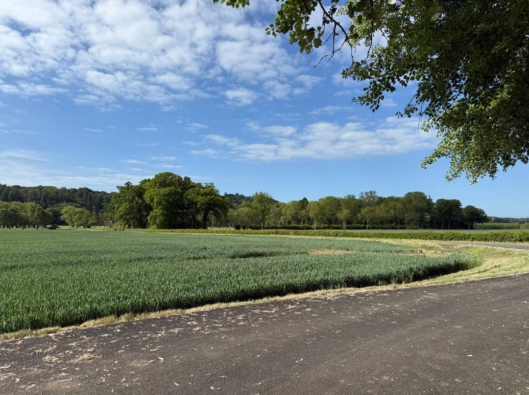 Ampleforth Abbey-Ampleforth必去景点