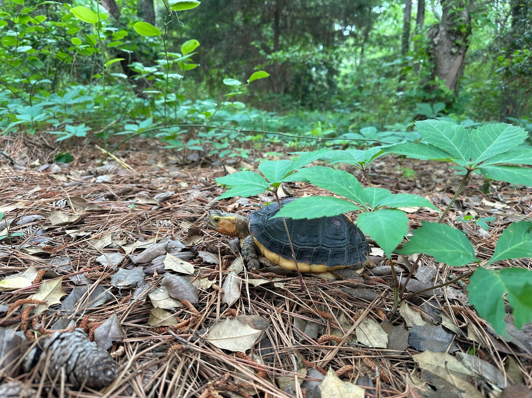 Kiptopeke State Park-Cape Charles必去景点