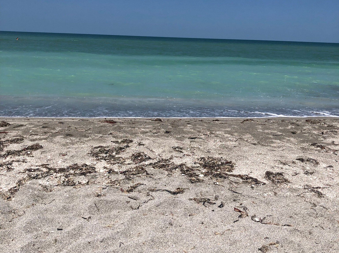 Turtle Beach-西耶斯塔岛必去景点