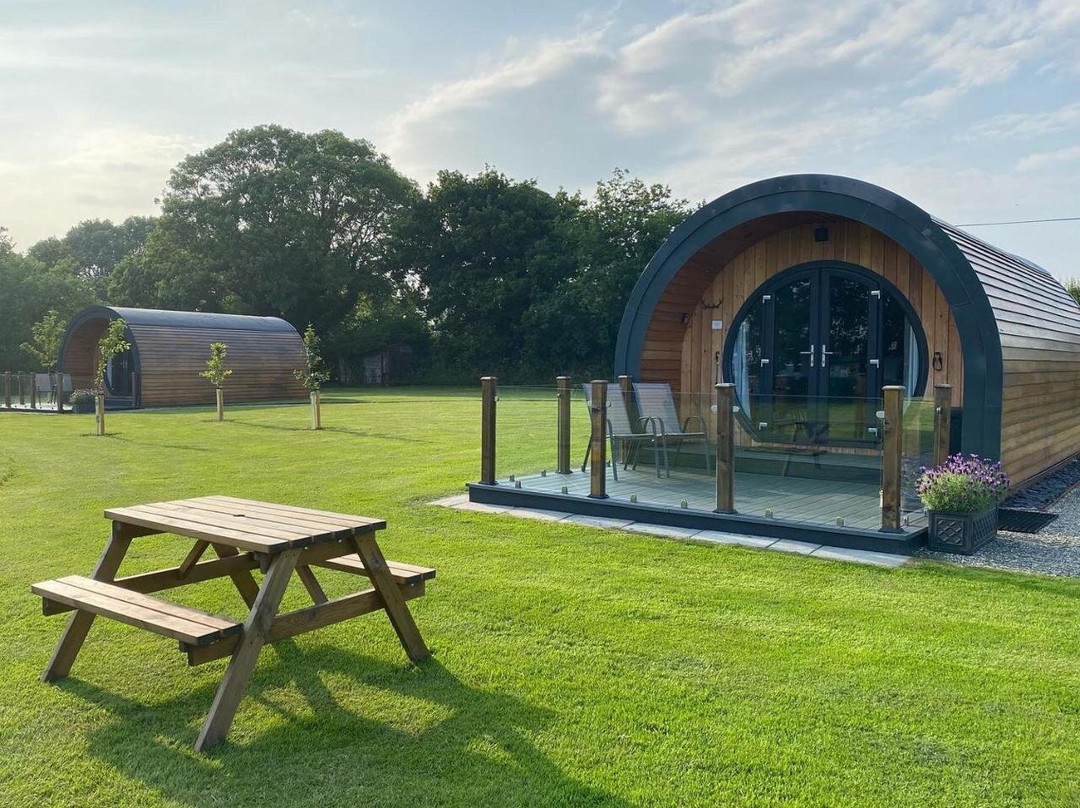 Millview Meadow Glamping