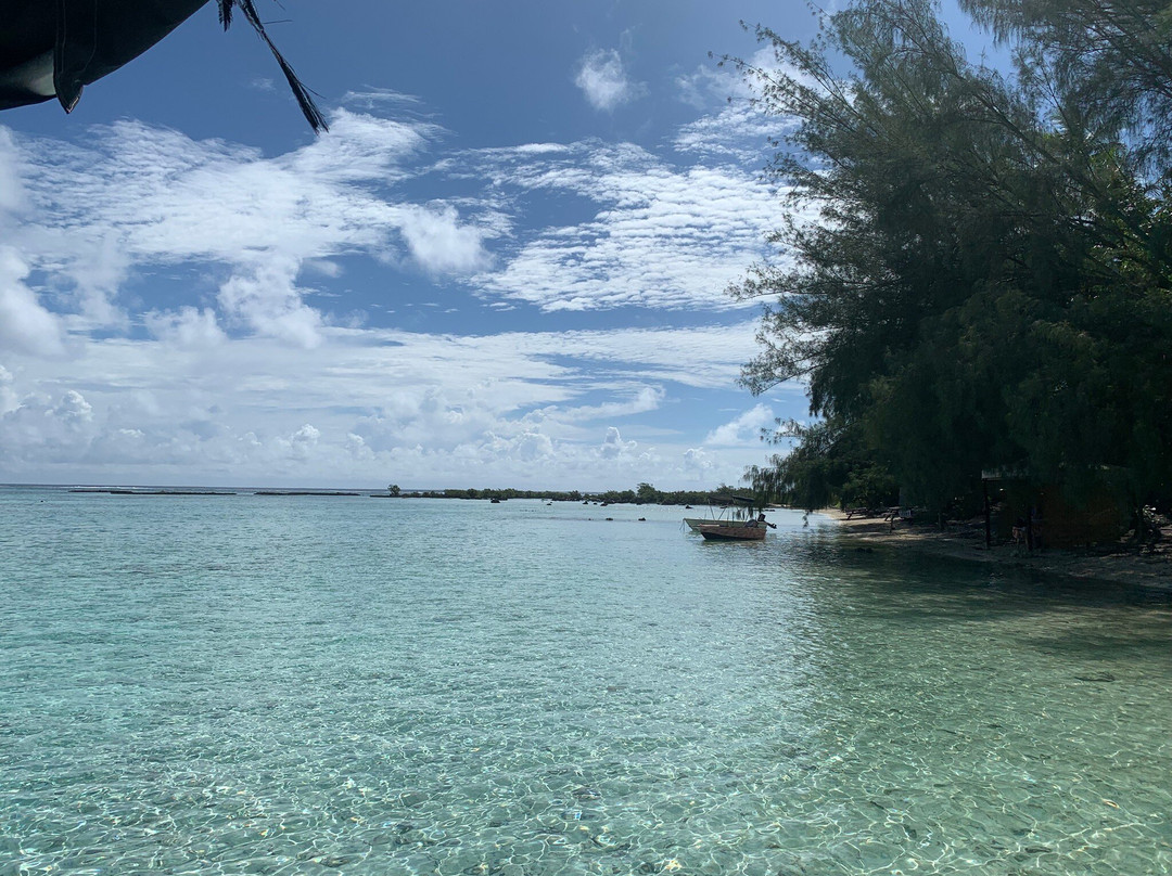 Moorea Tiki Tour-Paopao必去景点
