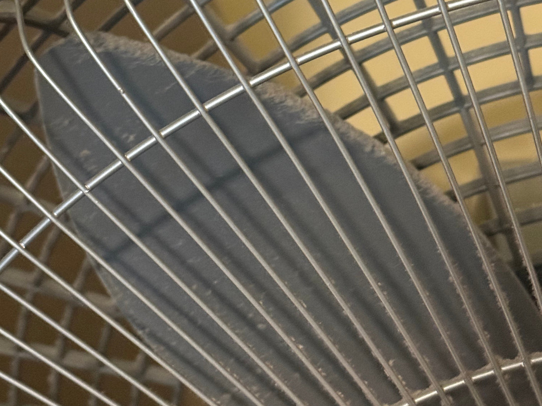 Majestic Inn And Spa主图