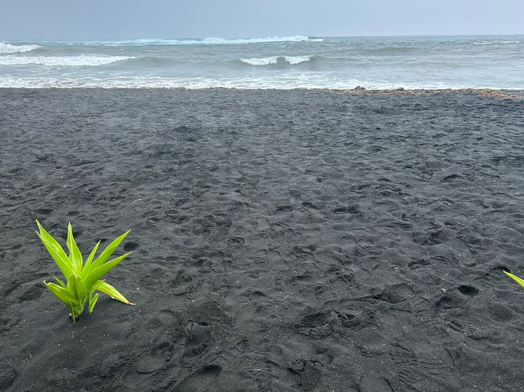 Taharuu Beach景点图片