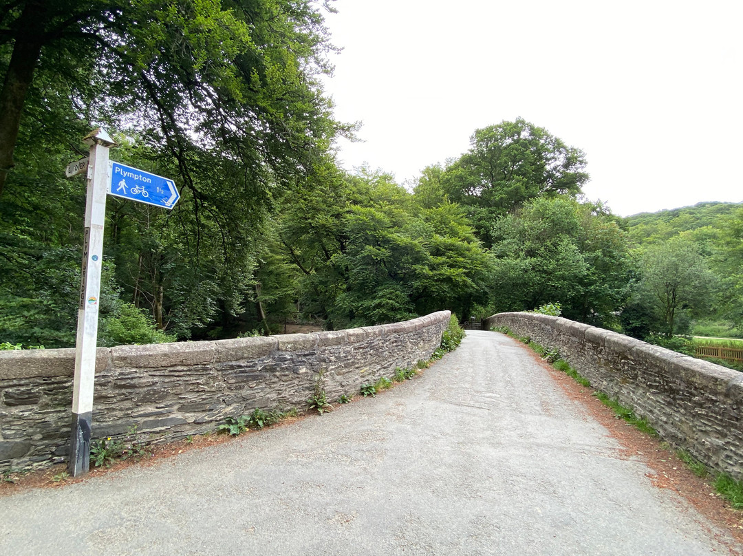 Plymbridge Woods-普利茅斯必去景点