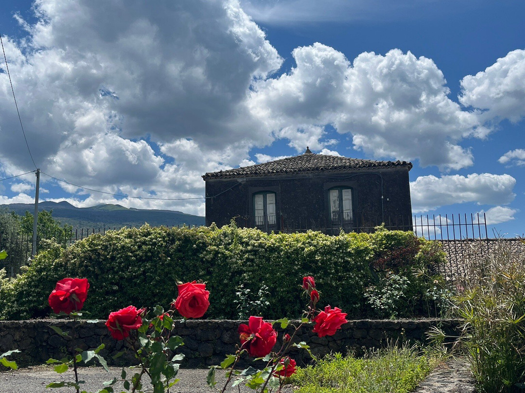 Winery Patria景点图片