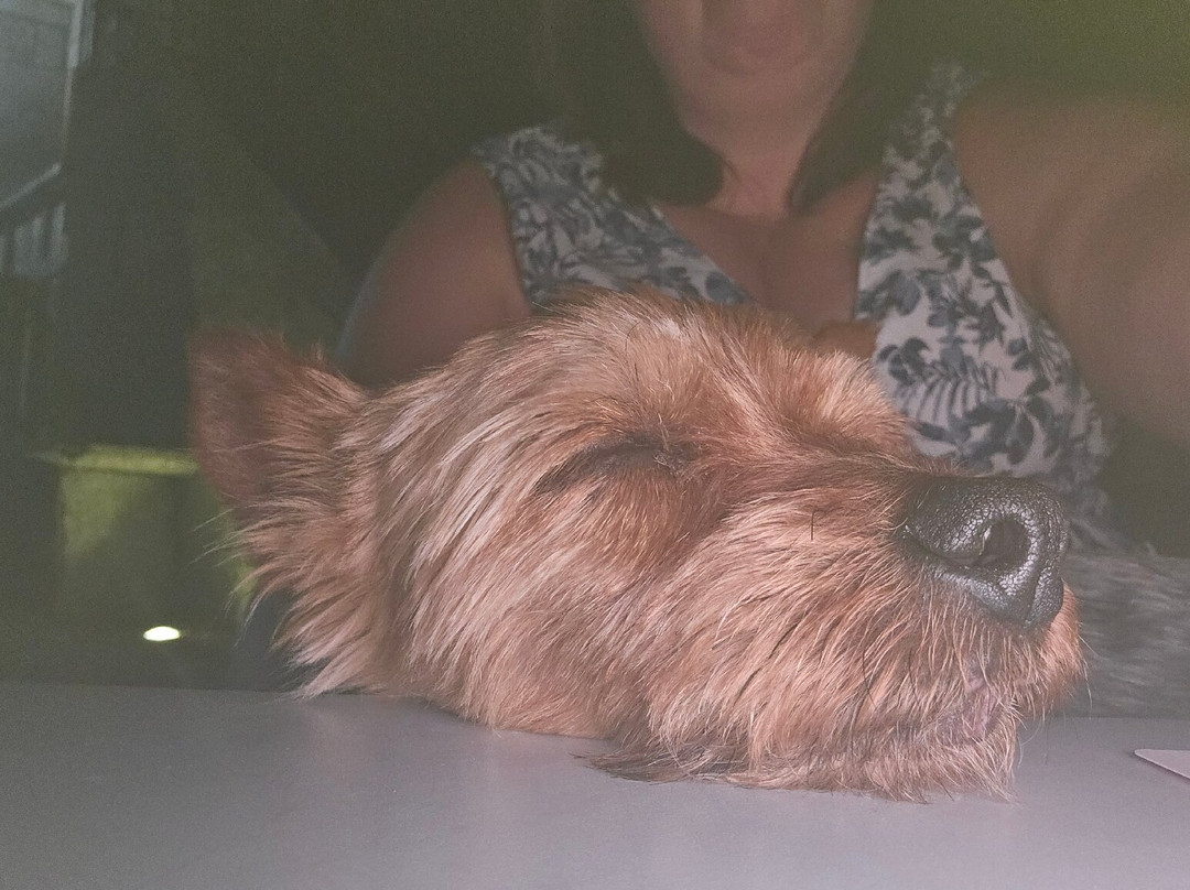 Hotel Rural Maria da Fonte主图