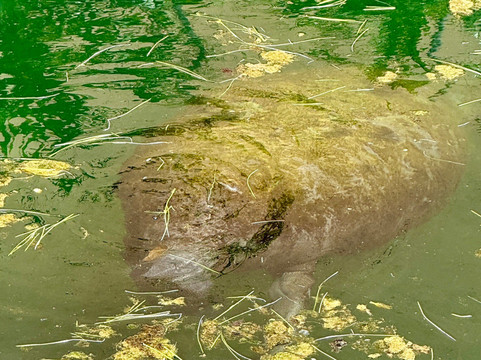 Puerto Aventuras Water Sports-阿范特拉斯港必去景点